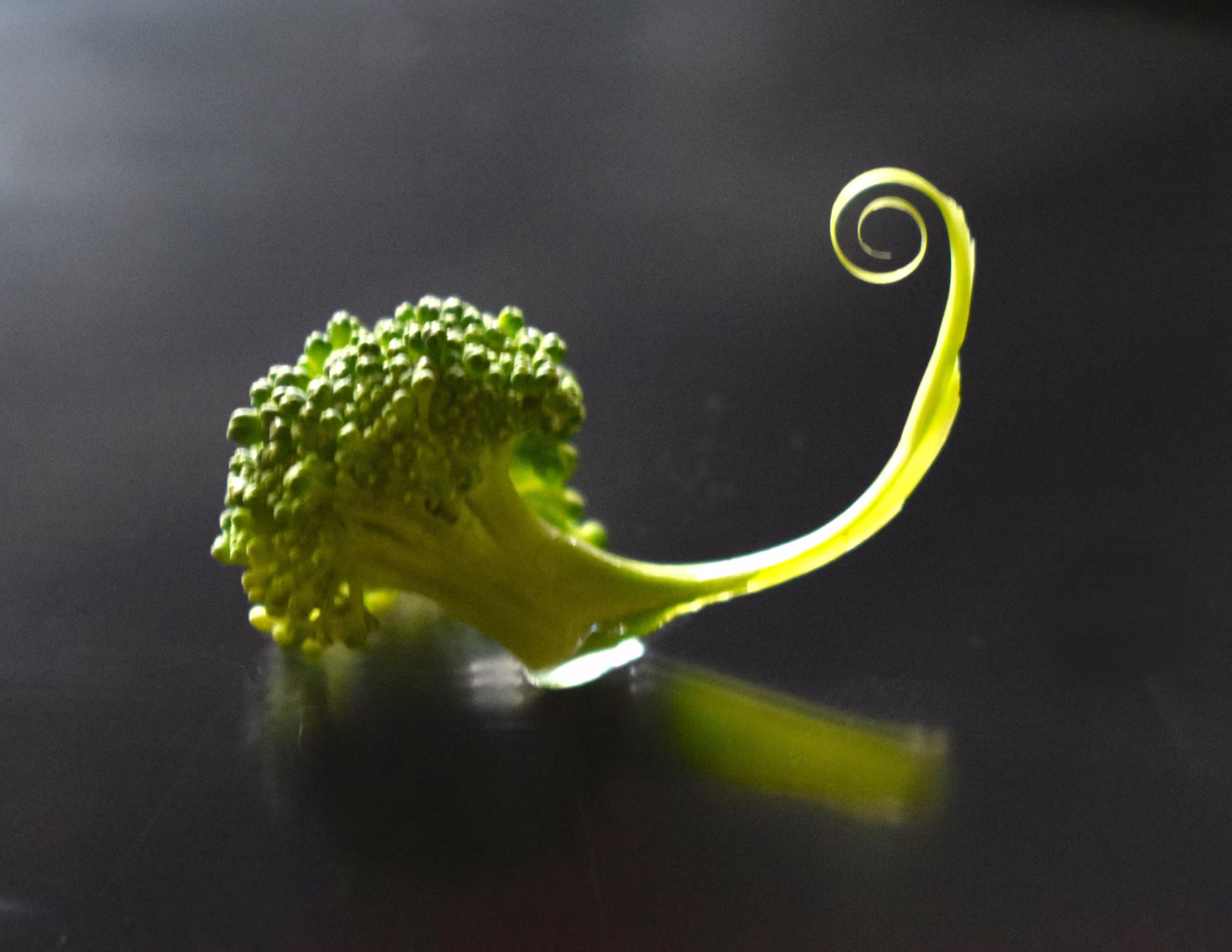 Exploring the World of Superfoods: Nutrient-Packed Powerhouses for a Healthier You